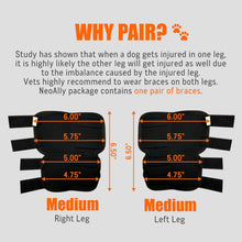 Load image into Gallery viewer, Breathable Neoprene Dog Hock Brace, ACL &amp; CCL Support for Large Breeds, 1 Pair