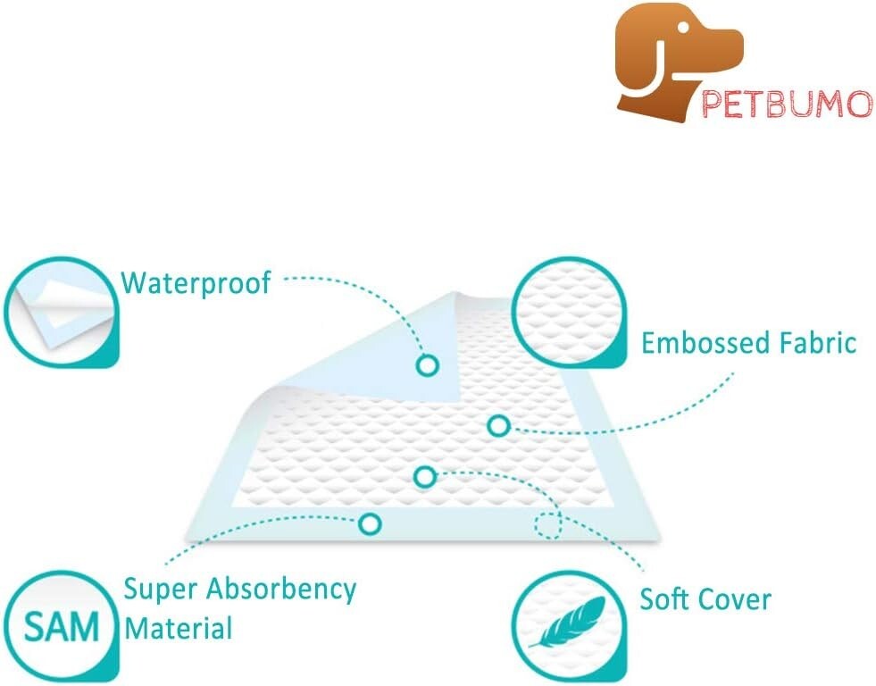 Indoor Potty Tray for Dogs with Protective Walls & 100 Pads for Clean Floors