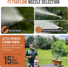 Load image into Gallery viewer, Heavy-Duty 2-Gallon Electric Sprayer - Perfect for Weeds and Pest Control