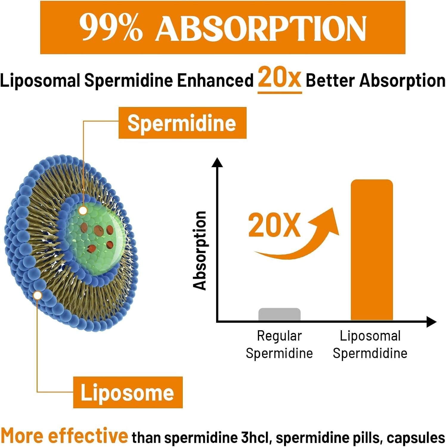 High-Potency 30mg Liposomal Spermidine Supplement - 99% Absorption, 180 Softgels