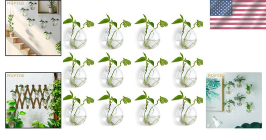 12-Piece Modern Glass Air Plant Holders - Stylish Wall-Mounted Decor
