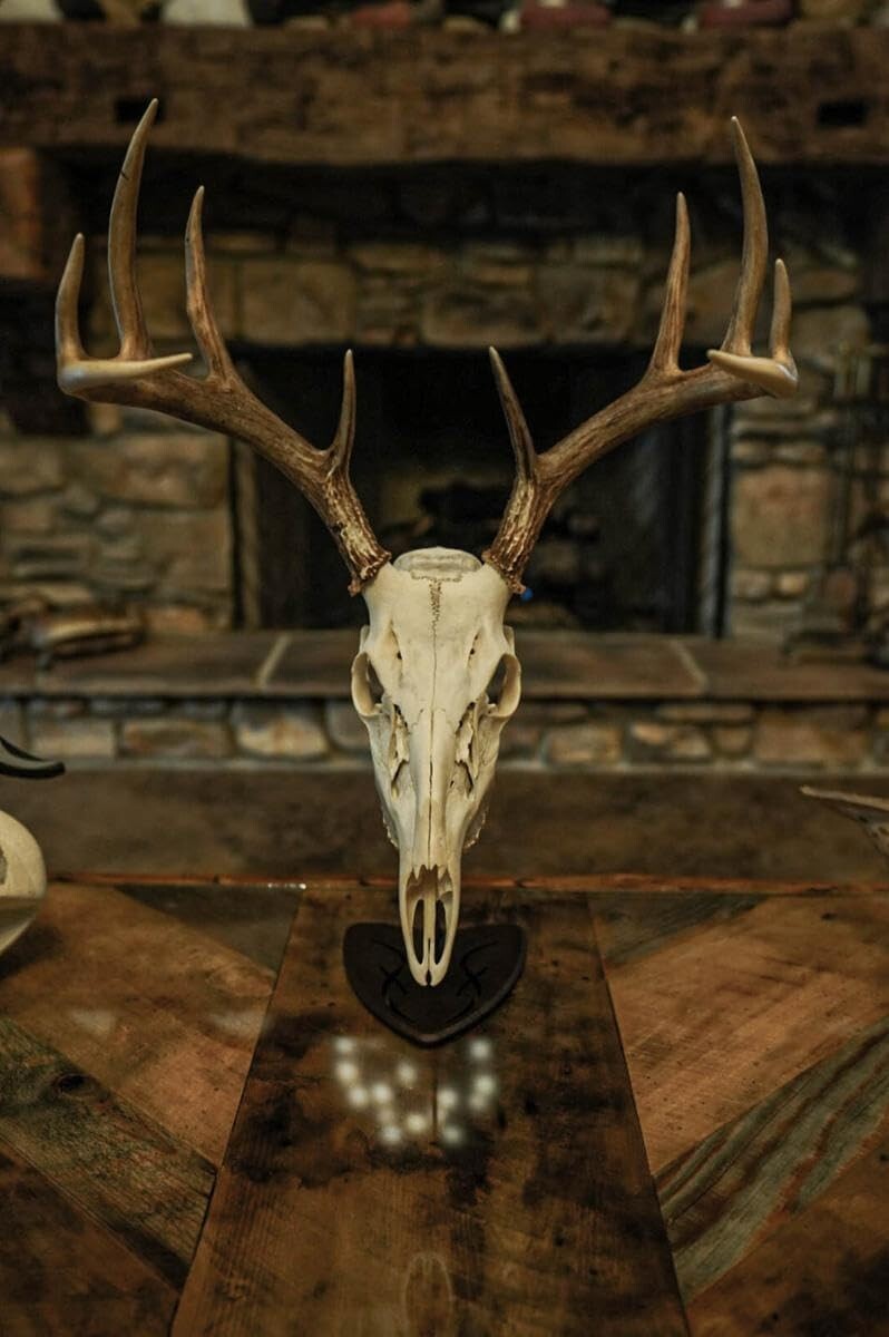 Customizable Powder Coated Steel Trophy Mount for Stylish Desk Displays - 23in