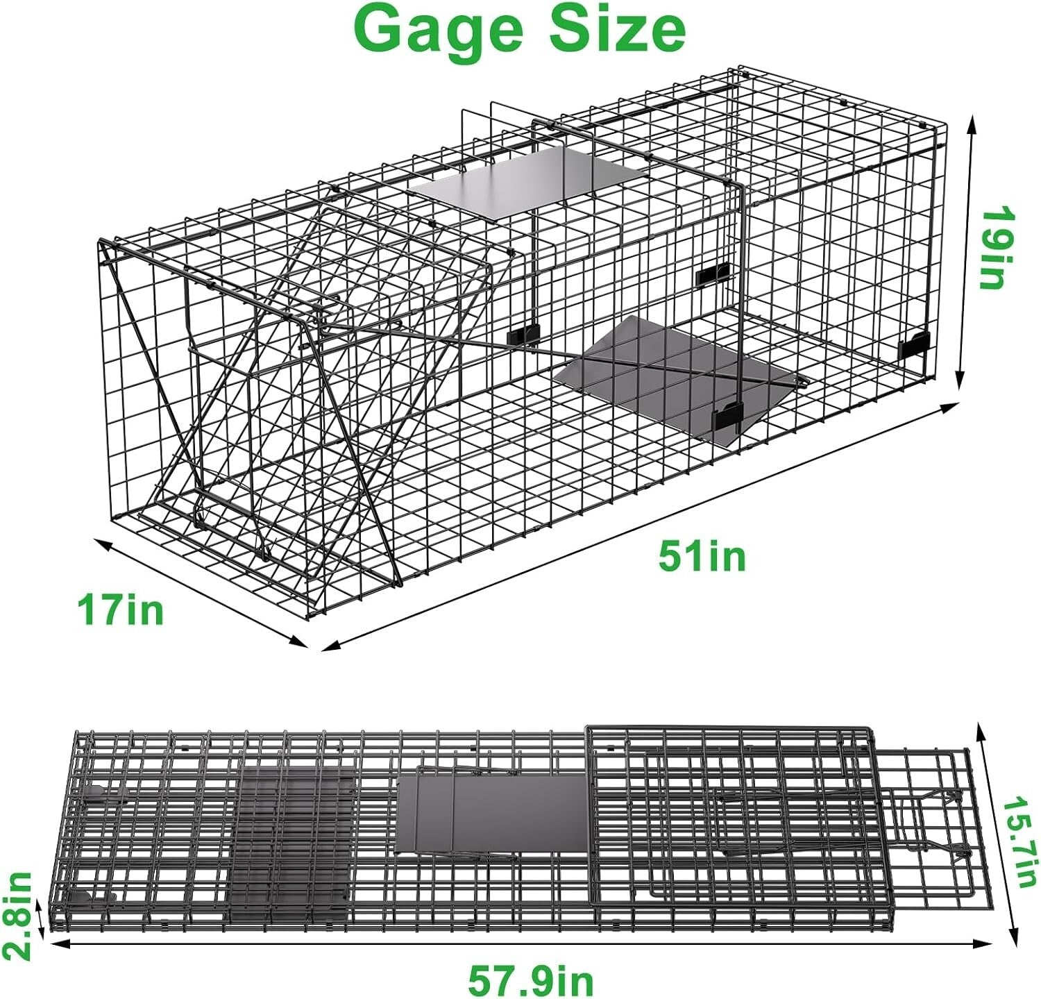 Stainless Steel Large Animal Trap - 51x19x17in for Dogs, Coyotes, Raccoons