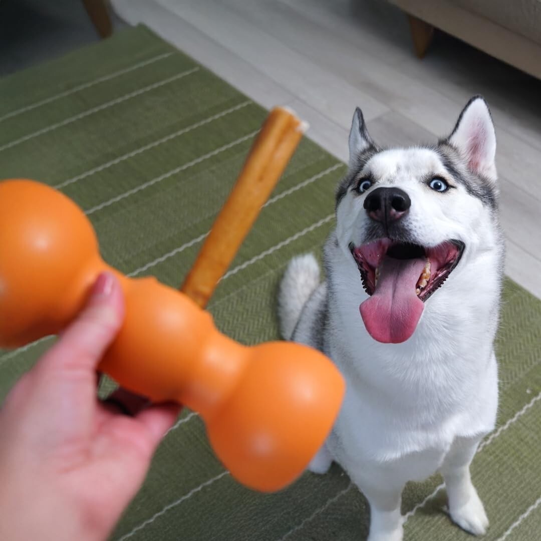 Bully Stick Holder for Large Dogs | Secure Chew Safety Device - Dishwasher Safe