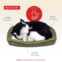 Load image into Gallery viewer, Lightweight Black and White Kitten Toy - Safe Handcrafted Companion for All