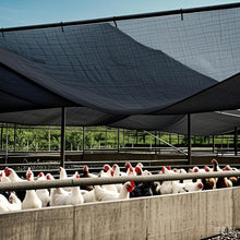 Load image into Gallery viewer, Breathable Black Shade Cloth 40% - Ideal 30x50 FT Cover for Plants &amp; Pets