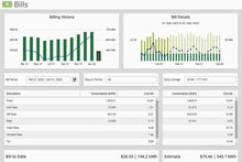 Load image into Gallery viewer, Indoor Electricity Monitor with 2 x 200A Sensors - WiFi/Ethernet Connect