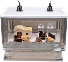 Load image into Gallery viewer, Indoor Chick Brooder Box - 20-30 Chicks with Temperature Control &amp; Ventilation