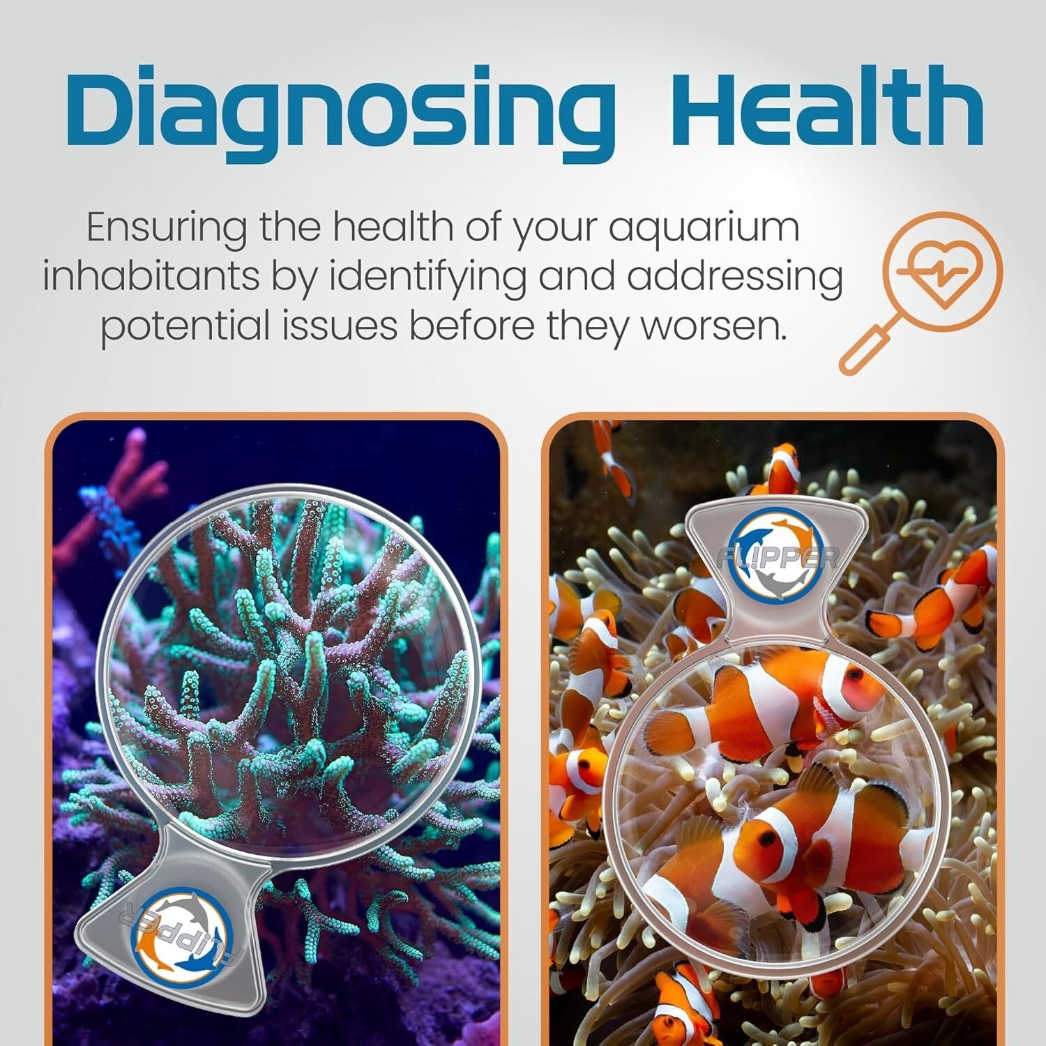 Lightweight 5" Aquarium Magnifying Glass - Ideal for Underwater Videography