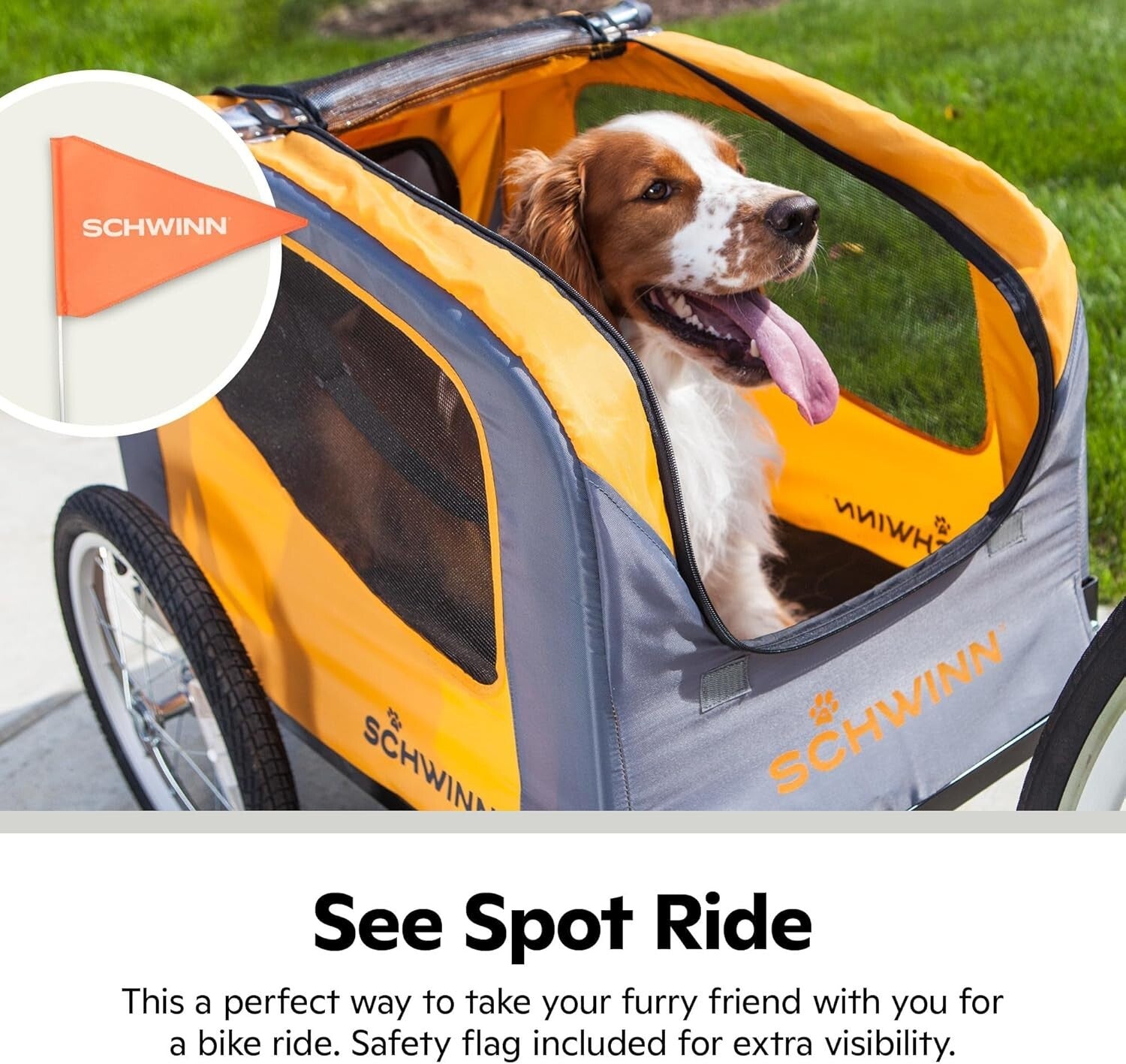 Rascal Dog Bike Trailer & Carrier for Pets Up to 50lbs - Foldable & Versatile