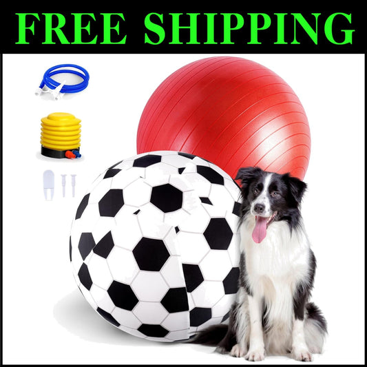 Durable 20" Dog Herding Ball with Cover & Pump - Engaging Play for All Pets