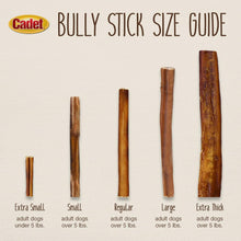 Load image into Gallery viewer, Long-Lasting 12 Oz Beef Pizzle Bully Sticks – Ideal for Aggressive Chewers