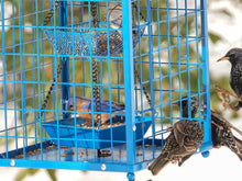 Load image into Gallery viewer, Durable Caged Bird Feeder for Bluebirds - Holds 2lbs, Includes Mealworms Cup