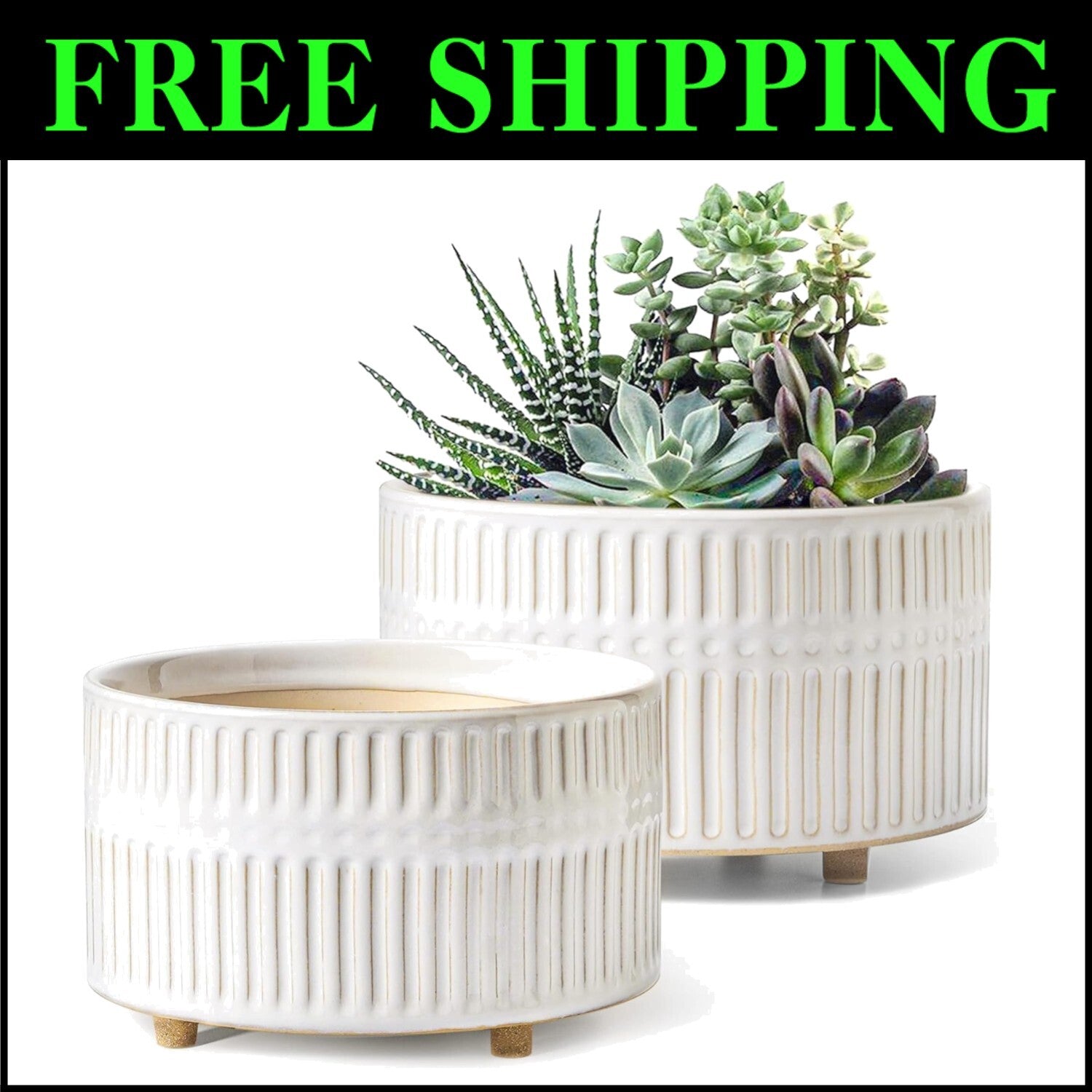 Elegant 6.5/8 Inch Ceramic Succulent Pots with Drainage - Indoor Garden Combo
