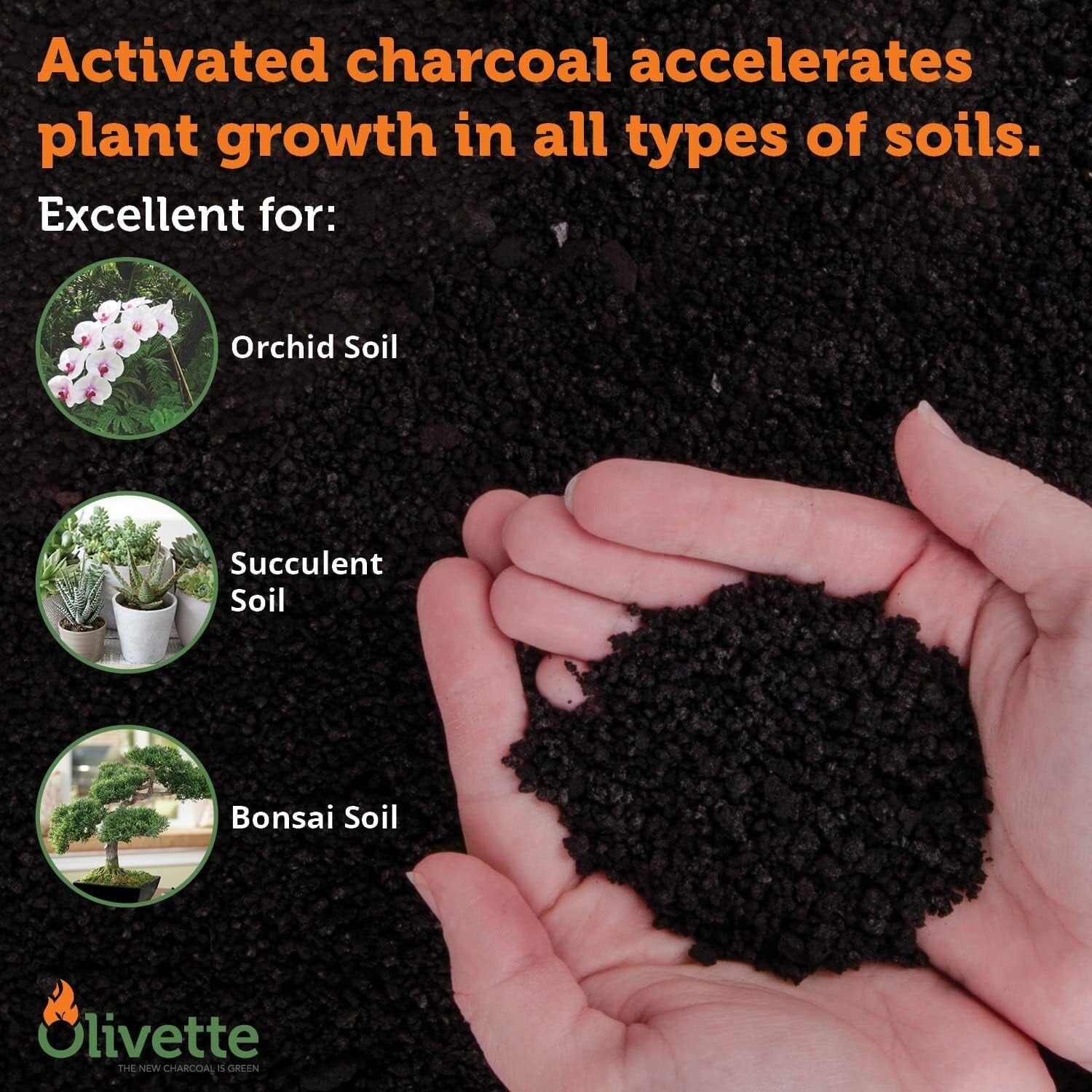 Eco-Friendly Activated Charcoal for Terrariums - Nourish Your Plants Naturally