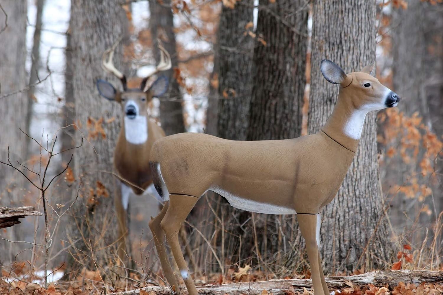 Field-Proven Aluminum Deer Decoy with Adjustable Ears - For Serious Hunters