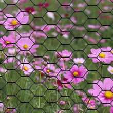 Load image into Gallery viewer, Premium Black Hexagonal Chicken Wire - 48" x 50' Galvanized Steel Netting