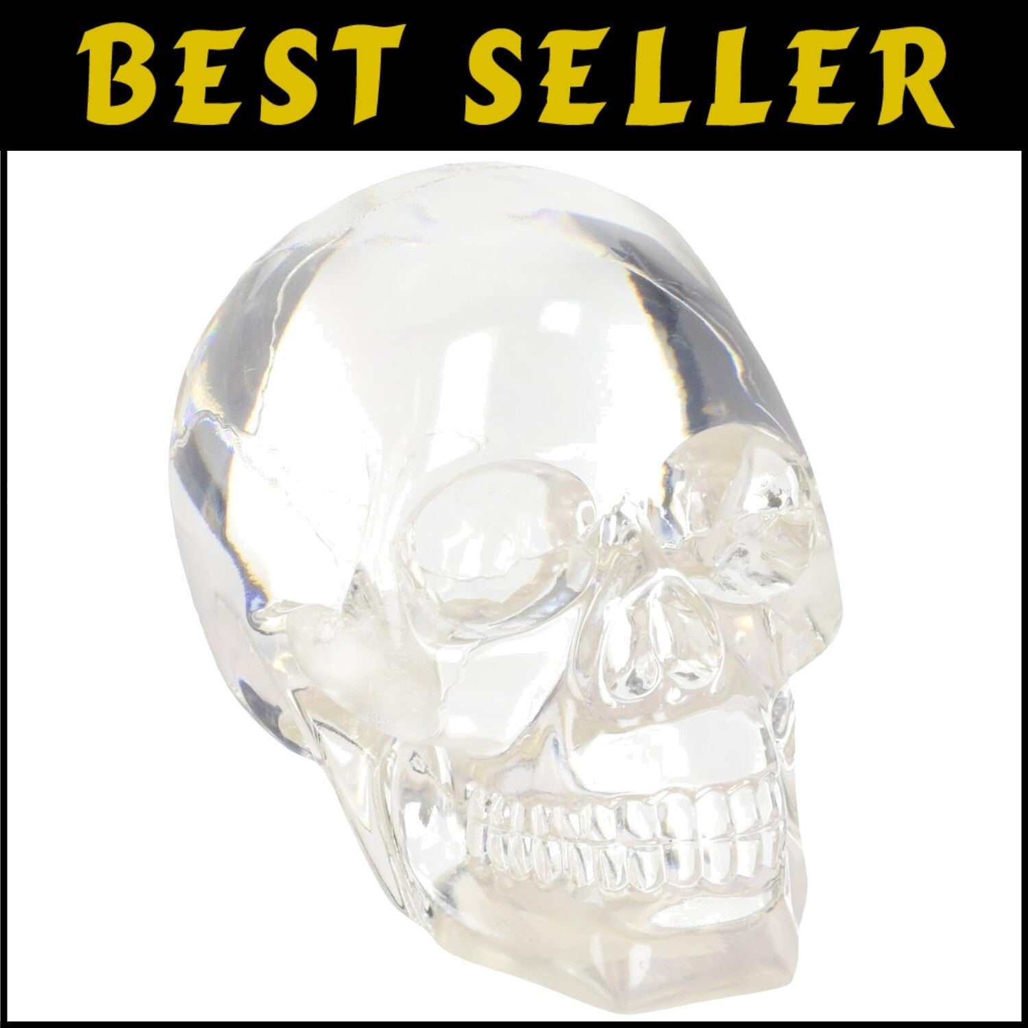 Intricate Clear Skull Sculpture - Unique Home Decor for Gifts and Holidays