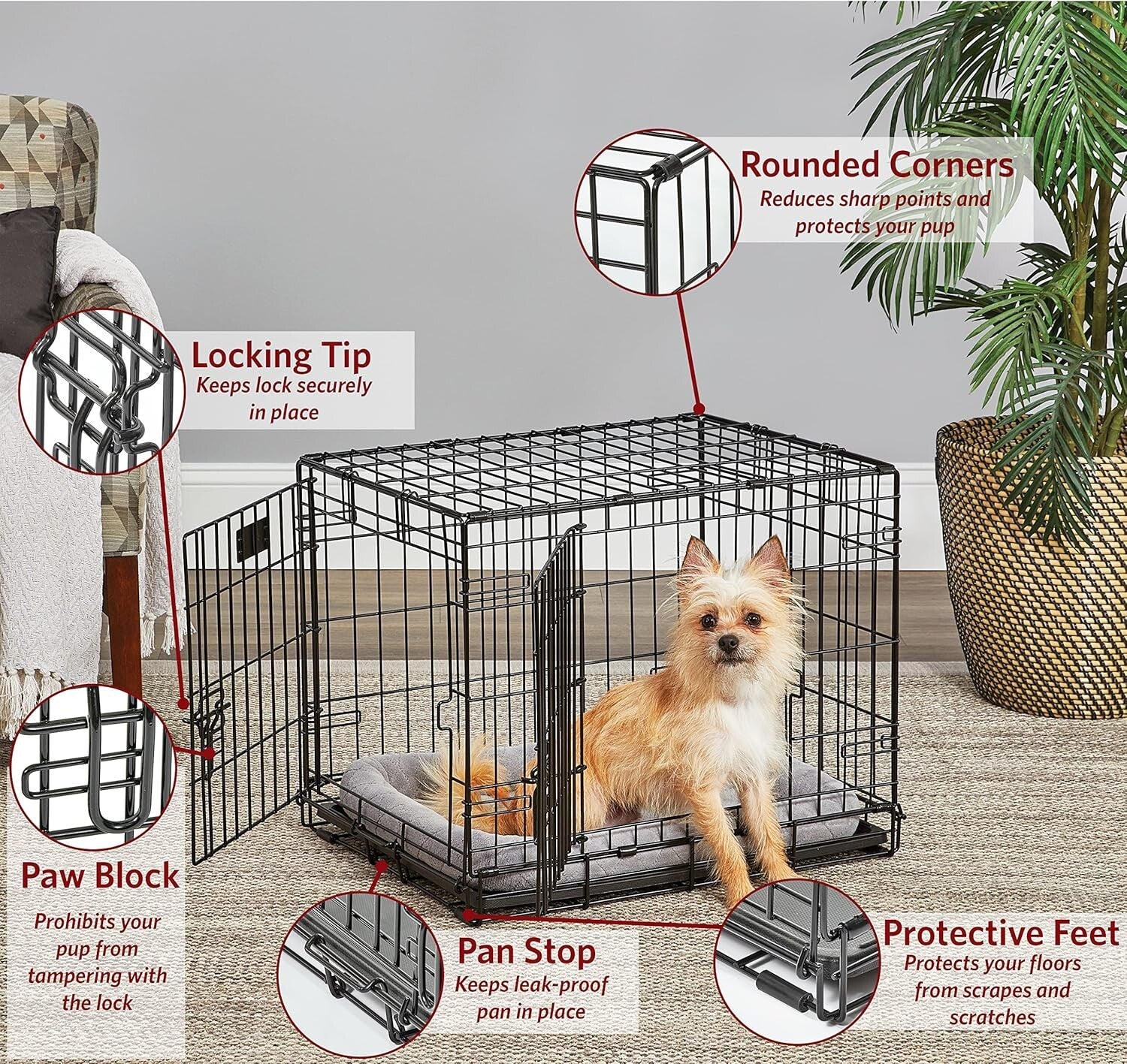 24-Inch Secure Folding Dog Crate for Small Breeds - Easy Assembly & Travel Ready