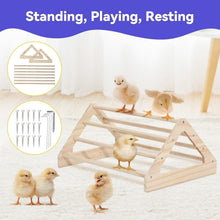 Load image into Gallery viewer, Lightweight 5-in-1 Brooder Kit for Chicks - Playpen, Feeder &amp; Waterer Included
