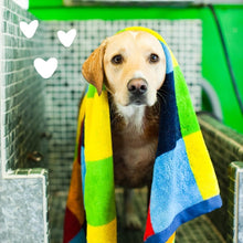 Load image into Gallery viewer, Eco-Friendly Oatmeal Dog Shampoo - 128 Oz, PH Balanced for All Life Stages