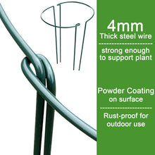 Load image into Gallery viewer, Dark Green 12 Pack Plant Stakes - Perfect Support for Roses, Peonies &amp; Vines