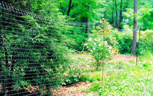 Load image into Gallery viewer, USA-Made 8'x330' Heavy Duty Deer Fence with Rounded Tensile Design for Security
