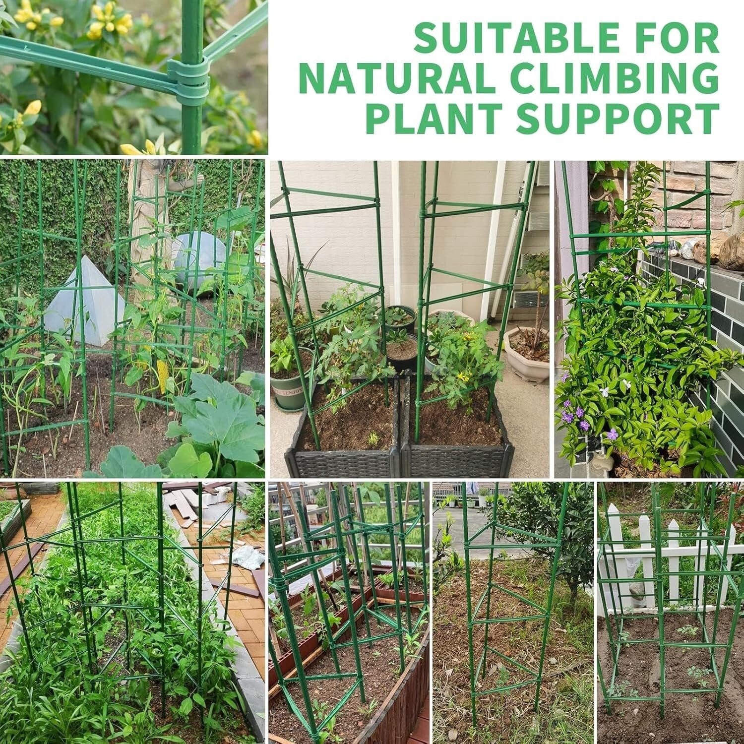 6-Pack 6ft Green Tomato Cages - Durable Support for Climbing Plants & Vegetables