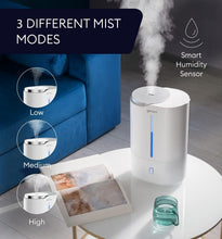 Load image into Gallery viewer, Cool Mist Ultrasonic 6L Humidifier with Night Light - Ideal for Babies &amp; Plants