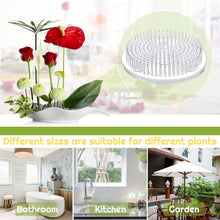 Load image into Gallery viewer, Lightweight Plastic Flower Frog Pins - 48 Pack for Beautiful Flower Displays