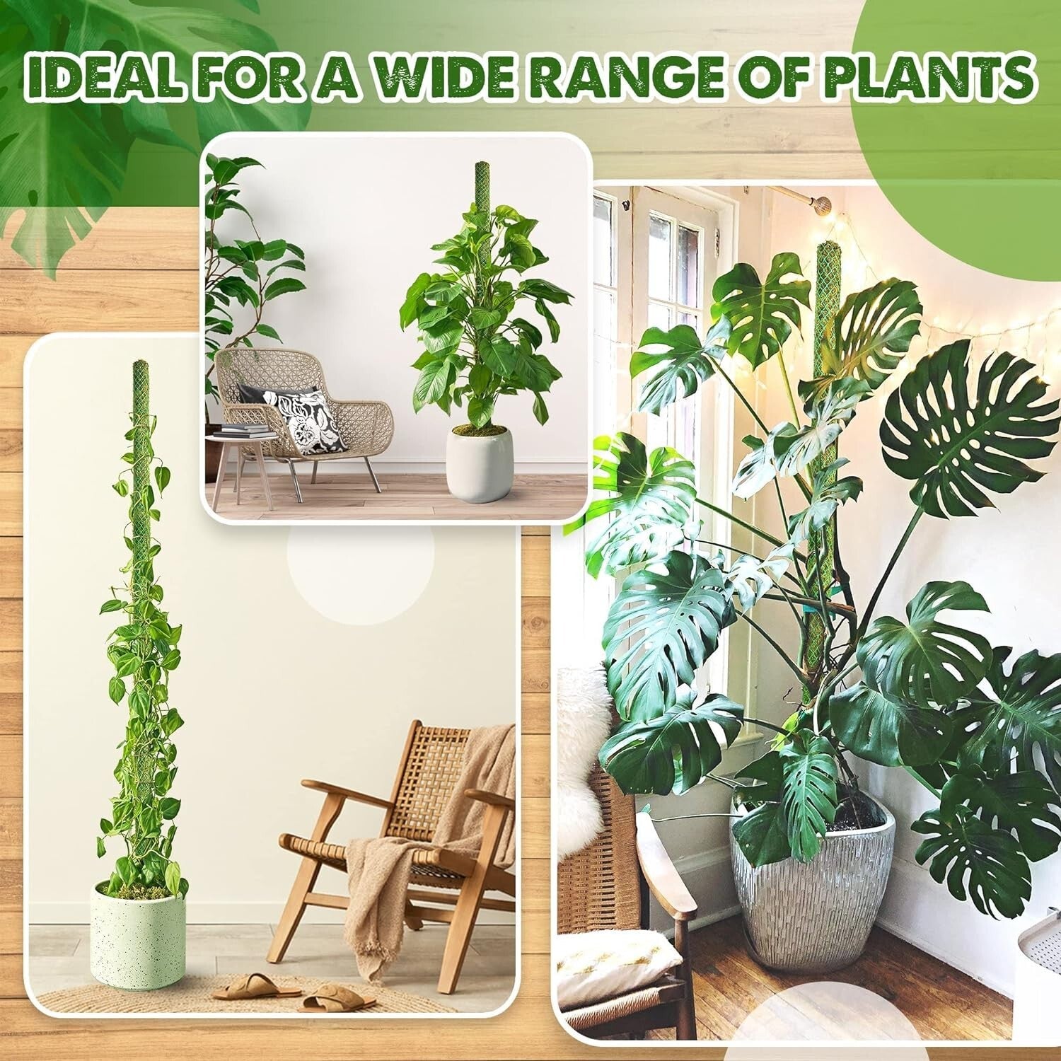Elegant 22'' Indoor Plant Stakes - Stackable Support Poles for Climbing Plants