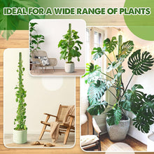 Load image into Gallery viewer, Elegant 22'' Indoor Plant Stakes - Stackable Support Poles for Climbing Plants
