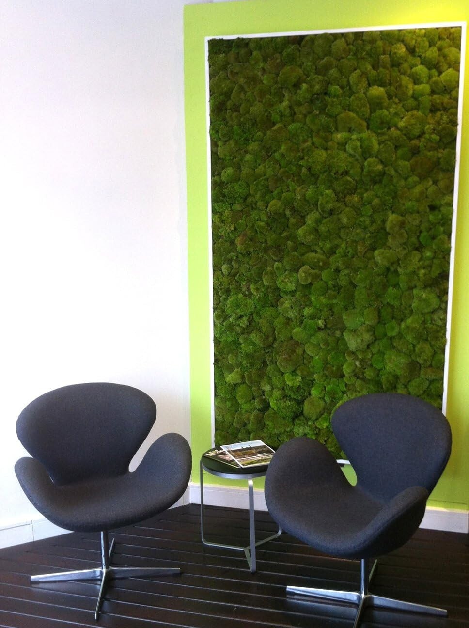 Natural Elegance: Fresh Green Mood Moss for Floral Arrangements - 3 Pounds