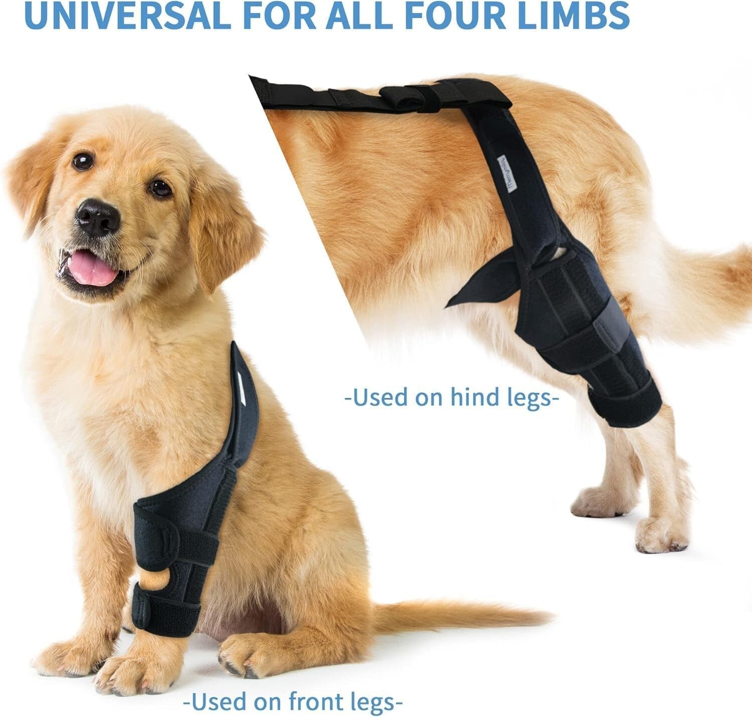 Lightweight Adjustable Dog Knee Brace for Joint Pain Relief & Mobility - Black