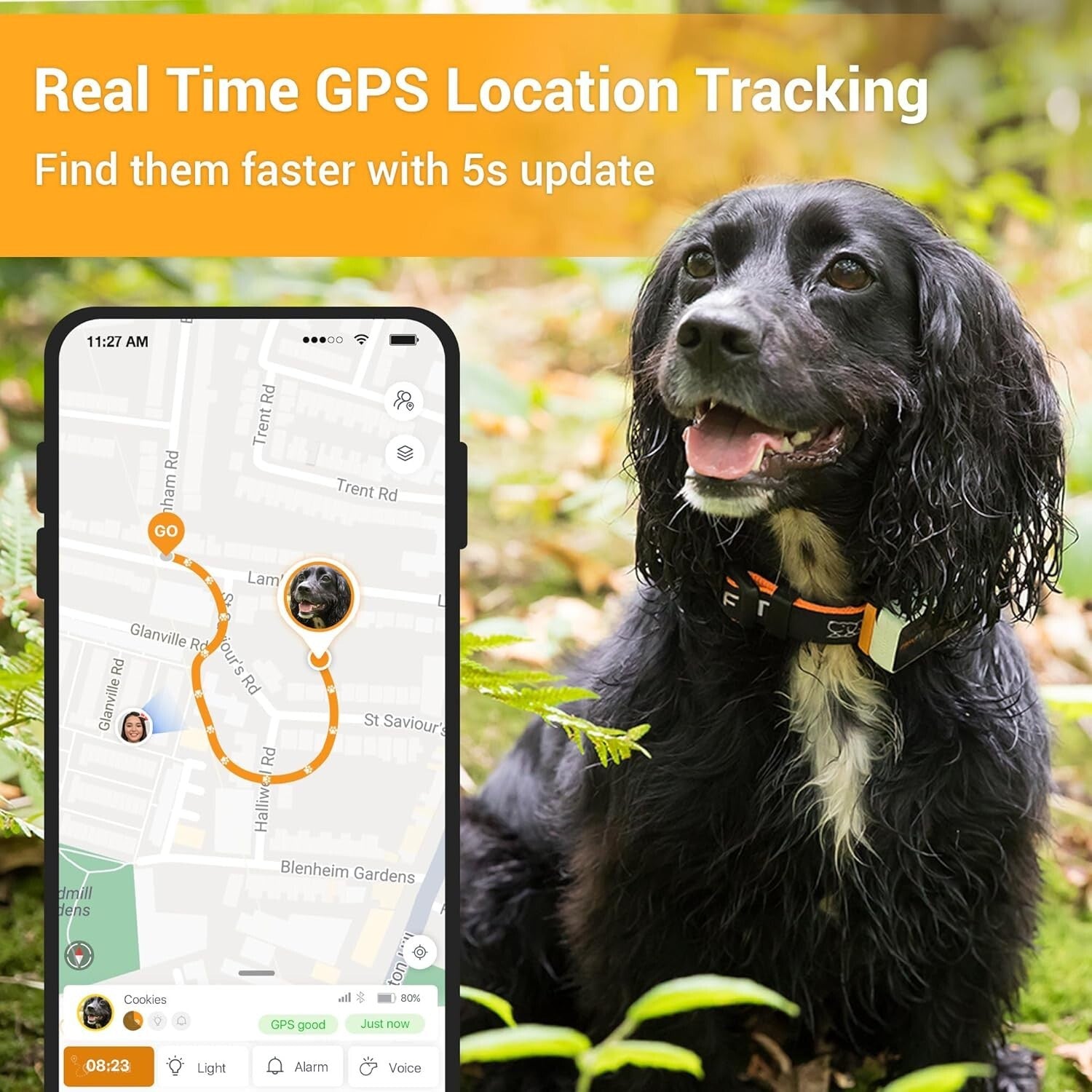All-in-One GPS Dog Tracker: IP68 Waterproof, Live Tracking & Activity Monitor