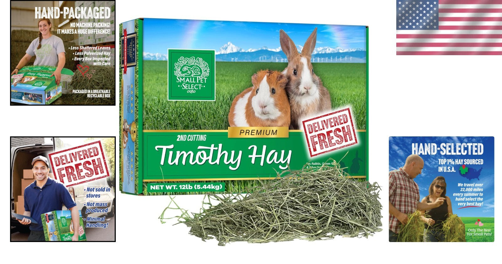 Fresh, Hand-Selected Timothy Hay for Small Pets - 12 LB, Ideal for Dental Health