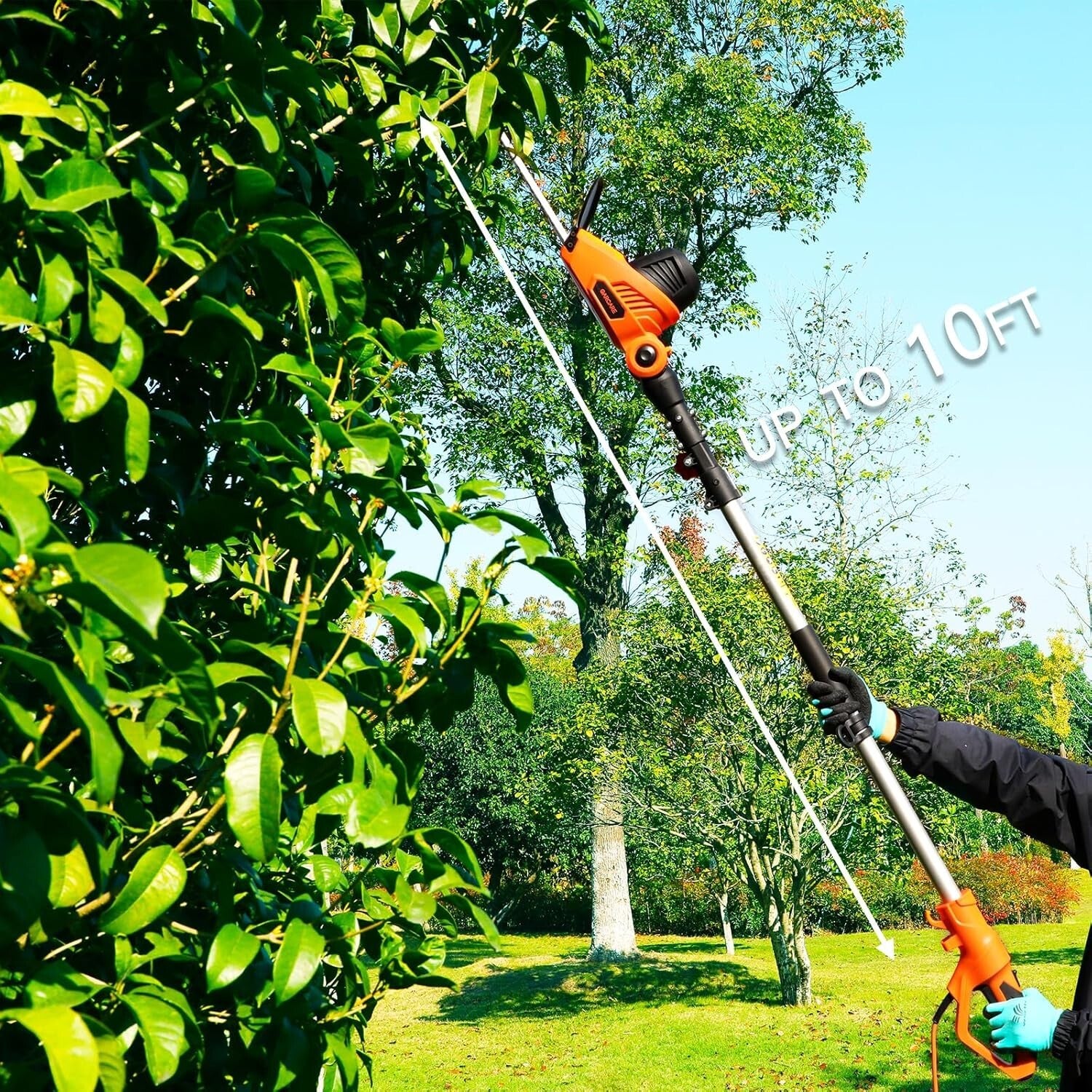 Extendable Electric Pole Hedge Trimmer - 600W Power, Safety Features Included
