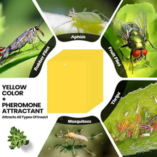 Load image into Gallery viewer, Versatile 250 Pcs Double-Sided Sticky Traps for Flying Insects - Classic Yellow