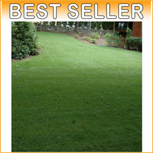 Load image into Gallery viewer, OptiGrowth Coated SPF-30 Bluegrass Mix - 10 lbs for Lush, Low-Maintenance Lawns