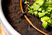 Load image into Gallery viewer, Advanced Drip Irrigation Raised Bed Watering Kit with Pressure Regulator &amp; Timer