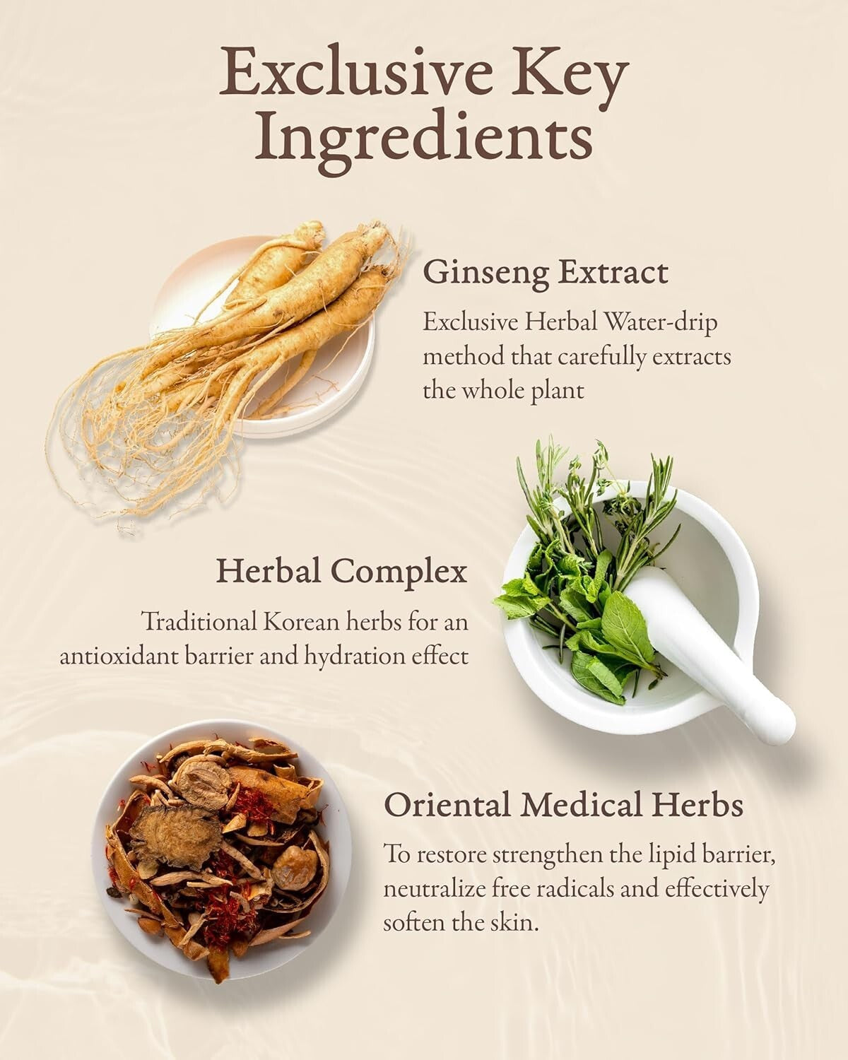 Luxury Korean Skincare Gift Set – Ginseng Moisturizing Essentials by LG Beauty