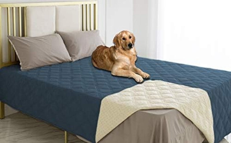 Luxurious Waterproof Pet Blanket with Anti-Slip Back for Furniture Protection