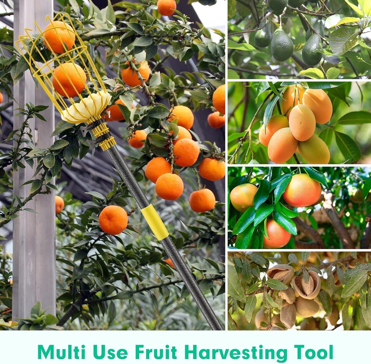 Heavy Duty 8FT Fruit Picker Pole with 5.5" Basket - Ideal for Home Gardens