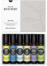 Load image into Gallery viewer, Essential Oils Best of the Best Collection - Breathe, Relax &amp; Elevate Wellness