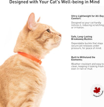 Load image into Gallery viewer, Soft Rubber Cat Collars with Breakaway Buckles - 5 Colors for Stylish Safety