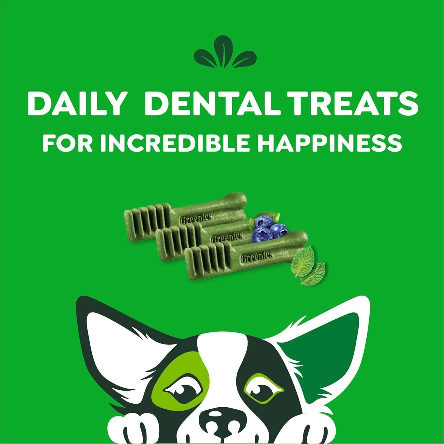 60 Piece Petite Dog Dental Treats - Minty Fresh & Blueberry Flavor for Care