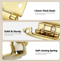 Load image into Gallery viewer, 40 Pack Gold Self-Closing Cabinet Hinges - 1/2 Inch Overlay, Quiet Operation