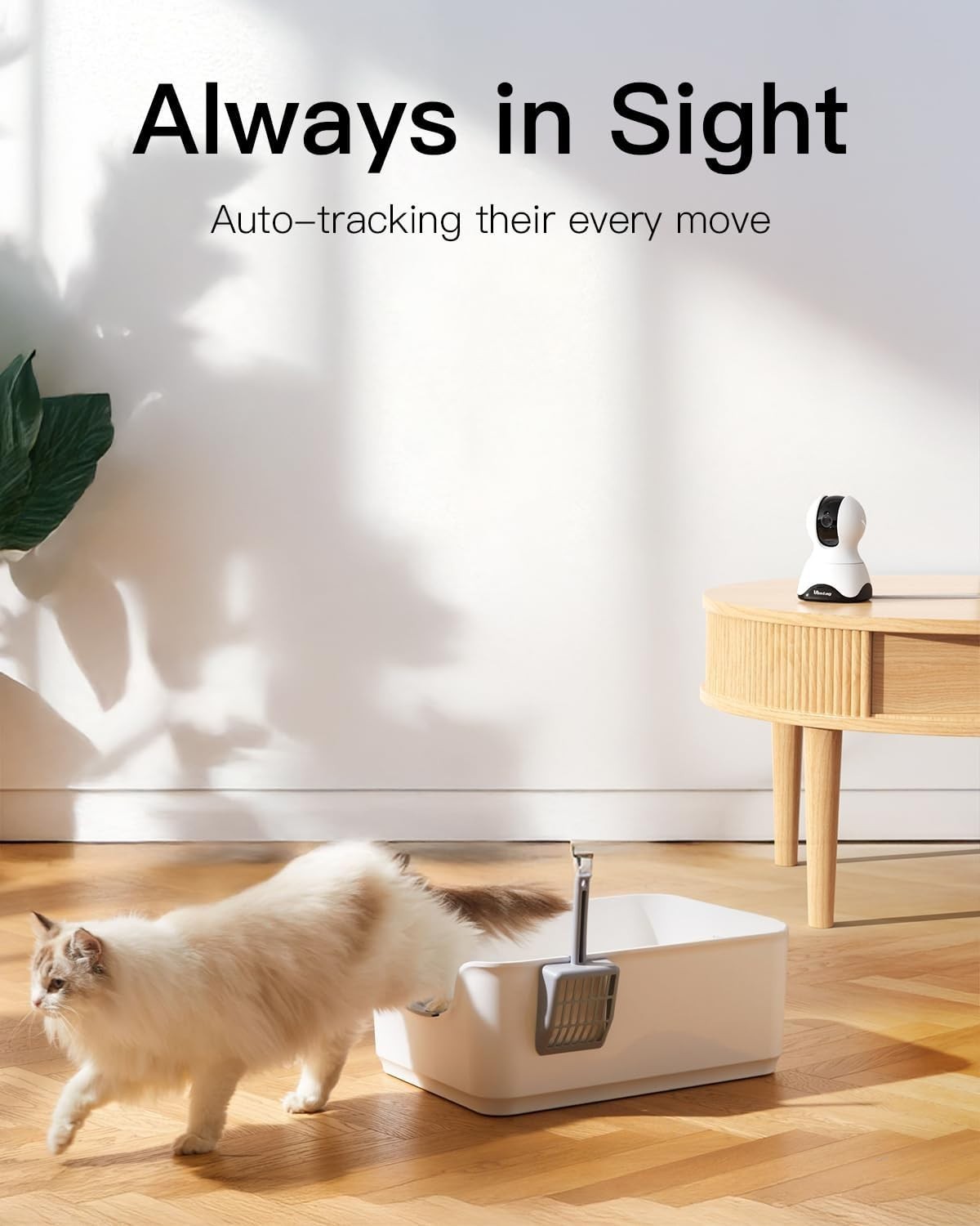 360° Pet Dog and Baby Monitor Cameras - 2-Pack with Night Vision and App Control