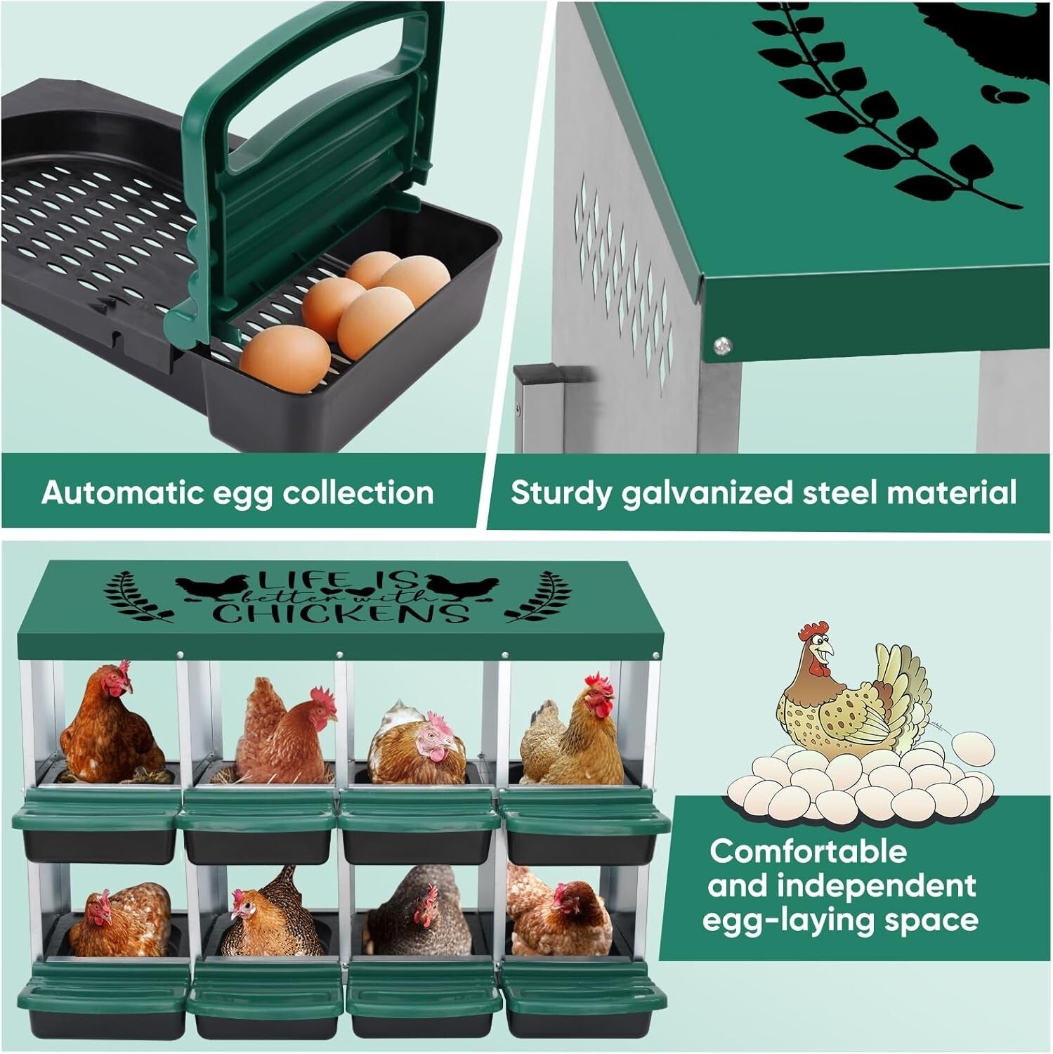 8-Hole Height-Adjustable Chicken Nesting Boxes with Automatic Egg Collection