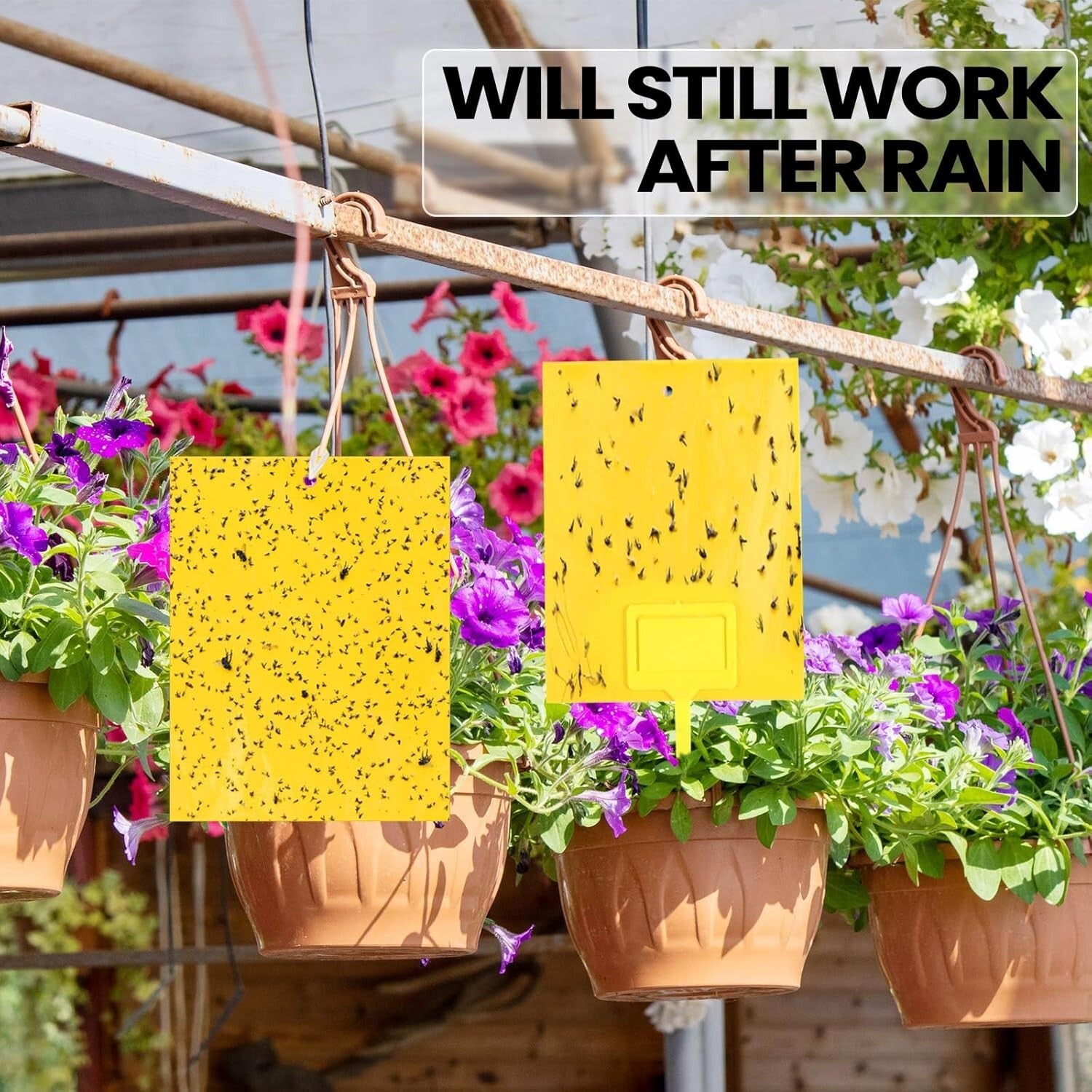 Versatile 250 Pcs Double-Sided Sticky Traps for Flying Insects - Classic Yellow